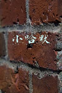 小哈默车(专精特新“小巨人”是什么、怎么样、如何选)