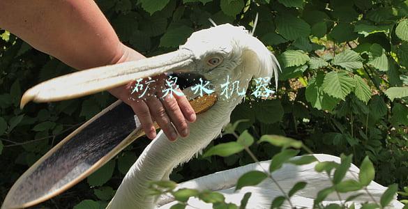 矿泉水厂设备价格一般多少钱(矿泉水设备多少钱一台？生产矿泉水的设备有哪些要求你知道吗？)