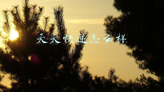 天天快递怎么样
