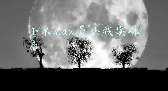 小米max换屏幕多少钱《小米max换外屏价格》
