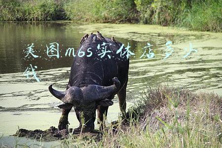 美图m6s手机多少钱一部：美图m6s多少钱一部