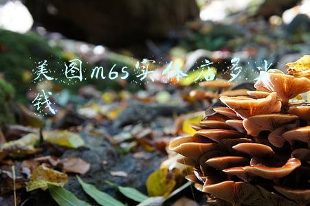 美图m6s刷机,美图m6s刷机包