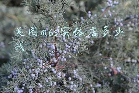 美图m6s格机,美图m6s格机方法