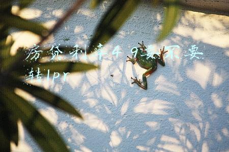 房贷利率4 9要不要转lpr