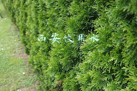 西安饮用水