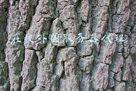 在线网页代理 美国服务器(Apache 正向代理与反向代理配置)