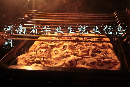 河南省毕业生就业信息网报到证办理(河南一企业一人领800万现金年终奖，总经理发一半说“快抱不动了”)