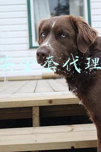 安全套代理商要多钱(凌晨2点还在补货的安全套创业者：以前一批货卖3年，最近2个月已补货3次)