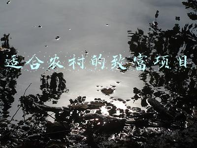适合农村致富好项目(农村可以致富的几个项目，只要努力，收入还不少)