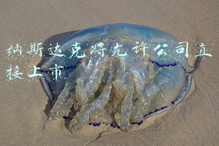 纳斯达克将允许公司直接上市