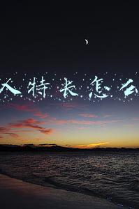 个人特长怎么写
