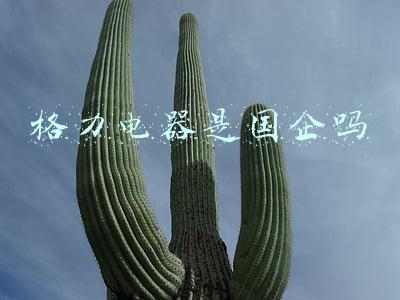 格力电器是国企吗