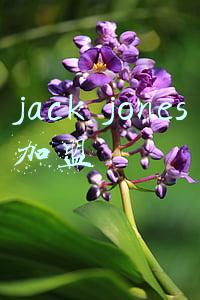 jack jones加盟