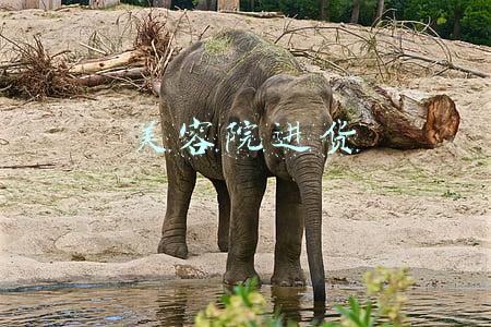 美容院进货单(双十一美容院大囤货，魅町纯真美力满足你)