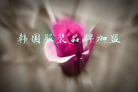加盟服装品牌女装韩版(2019年最适合加盟的女装品牌有哪些？)