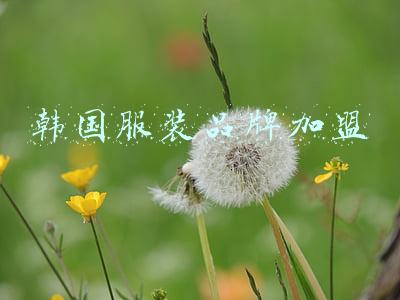 韩国服装品牌排行(韩国潮人穿什么？20个最火韩国潮牌（上）)