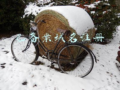 已备案域名注册
