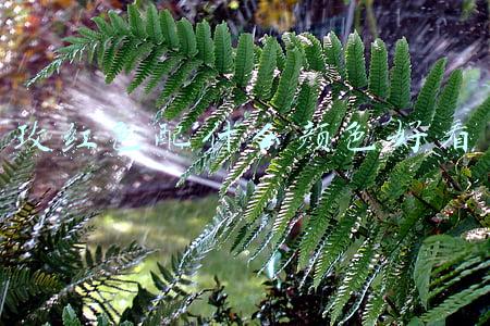 玫红色配什么颜色好看编织棉鞋(玫红天然提亮肤色感，再也不怕亮色穿搭显得皮肤黑)