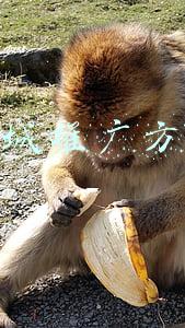 商城推广方案(商场活动方案，干货篇)