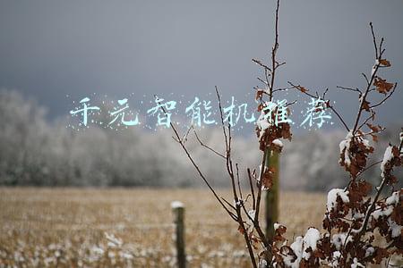 千元智能机推荐2021(2021年公认“好用的”4部千元机：入手需求要看清，少花冤枉钱)