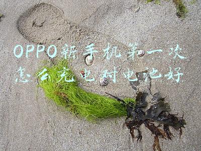 oppo新手机电池如何充电才正确(OPPO新手机怎么保养，要注意这3点，可延长手机的使用寿命)
