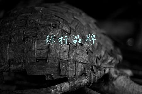 高尔夫球杆品牌(2021年高尔夫球杆推荐，最全选购指南，最详细介绍)