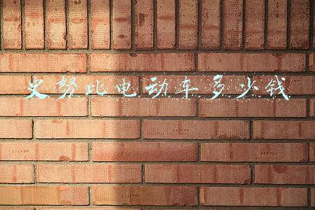 努比亚电动车(电动车整车厂纷纷打响第二品牌，瞎折腾还是大智慧？)