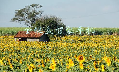 全键盘智能手机推荐(侧滑全键盘设计，Planet Astro Slide 5G发布)