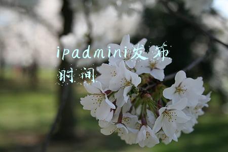 ipadmini发布时间