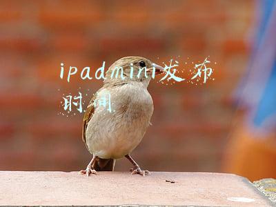 ipadmini以旧换新(撸苹果羊毛？老款 iPad 799元就可以换新，教你如何换新)