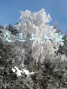 下雪天什么交通工具最安全(大雪明天就来！这份安全行车常识请您收好)