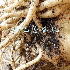 唱吧怎么玩
