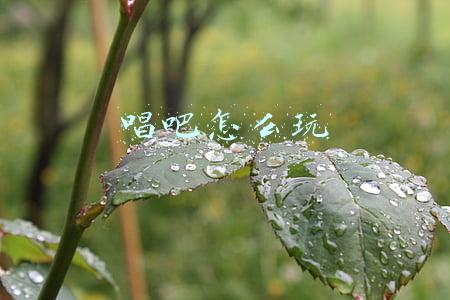 星途唱吧怎么玩(车内就能卡拉OK? 星途VX做到了)