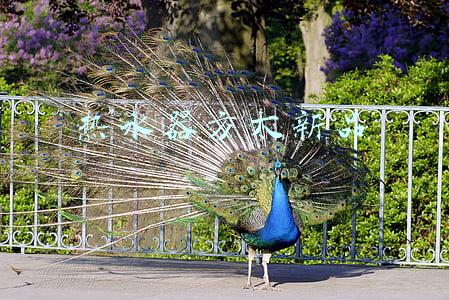 方太热水器型号大全(你的温度我掌控 方太1509T燃气热水器评测)