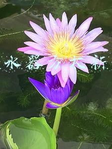 热水器防电墙(电热水器的防电墙，才几块钱一个，真的能防触电吗？)