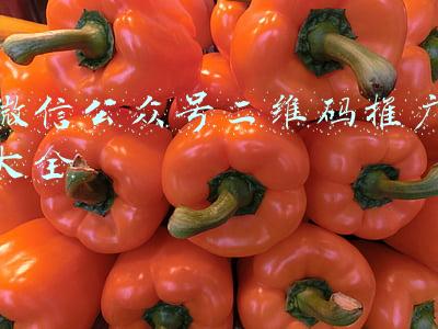 微信公众号二维码推广大全