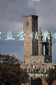 品牌公益营销案例(中国新媒体公益2021十大优秀案例公布，澎湃新闻一项目入选)