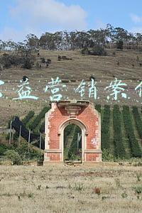 公益营销案例分析(公益营销的策略与方法)
