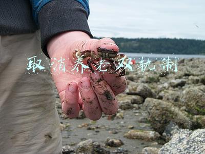 养老双轨制度(养老金双轨制的原因？)
