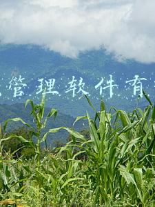 建筑工程管理软件有哪些(免费的建筑工程项目管理软件有哪些好用)