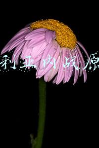 叙利亚内战原因