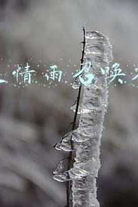 微信表情雨召唤术口诀2020