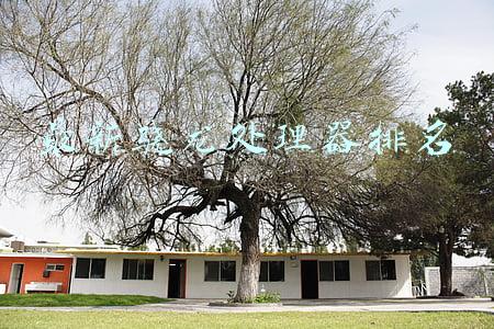 最新骁龙处理器排名天梯图(手机CPU天梯图2021年12月最新版 你的手机排名高吗？)