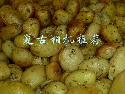 尼康复古相机(尼康传奇FM2的精髓传承 高颜值复古微单尼康Z fc试用评测)