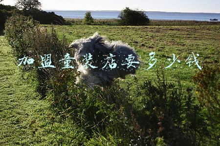 加盟童装店哪个牌子好-加盟童装店哪个牌子好平价质量还可以的