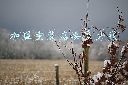 开个童装店要多少钱 开一个童装店要多少钱