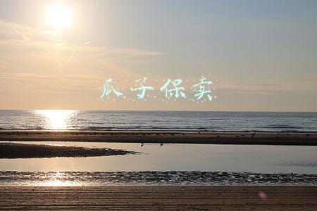 瓜子保卖一直不过户(惠州车主瓜子平台卖车，成交后却不肯过户，买主欲起诉平台和卖主)