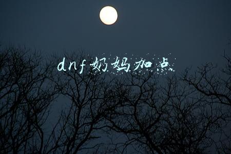dnf奶妈加点2021最新(《DNF》100级奶妈攻略 100级奶妈加点技巧指南详览)