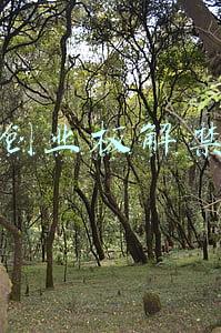 创业板解禁时间(下周解禁：创业板科创板几乎全包揽 大牛股迈为股份解禁超百亿)