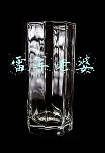 雷军老婆的英文名字(雷军小米印度发布会秀英文 王思聪称别出国丢脸后道歉)